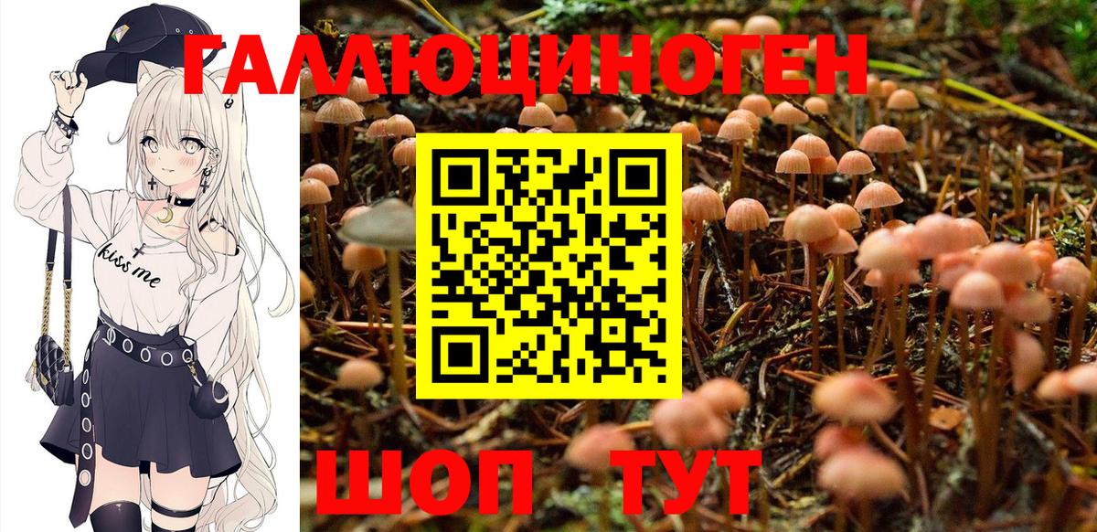 Приморско-Ахтарск  Галлюциногенные грибы Psilocybe  Вход с VPN  Галлюциногенные грибы прущие грибы 